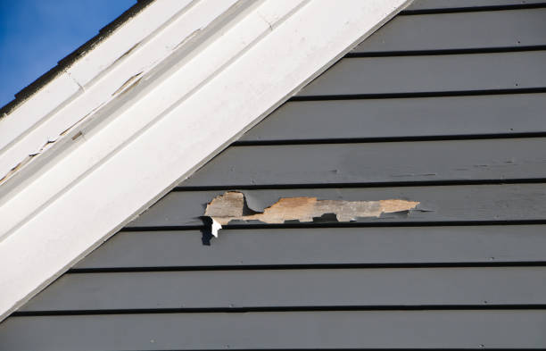 Best Custom Trim and Detailing for Siding  in Naples, UT